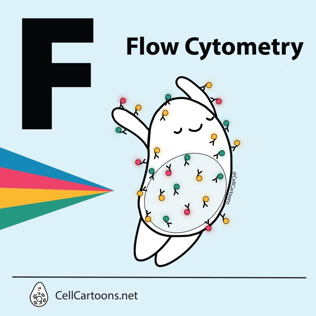 Cytometry